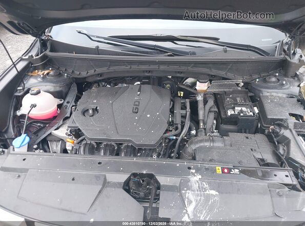 5NTJBDAE9RH084031 2024 HYUNDAI SANTA CRUZ Черный Вид сзади