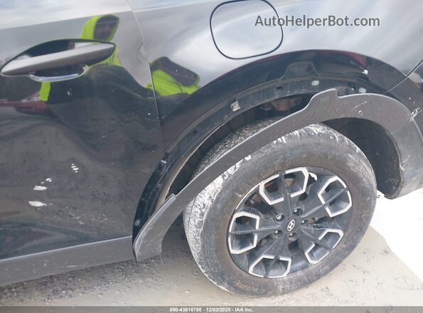 5NTJBDAE9RH084031 2024 HYUNDAI SANTA CRUZ Черный 