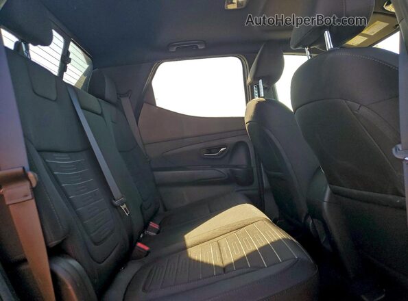 5NTJC4AE4RH092227 2024 HYUNDAI SANTA Gray Вид задніх сидінь