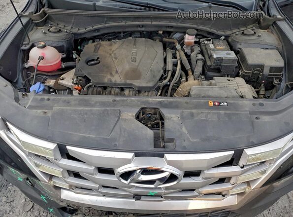 5NTJC4AE9RH089615 2024 HYUNDAI SANTA Black Vista interior trasera