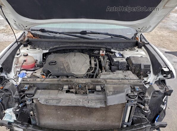 5NTJCDAE4NH014525 2022 HYUNDAI SANTA White Вид задньої частини салону