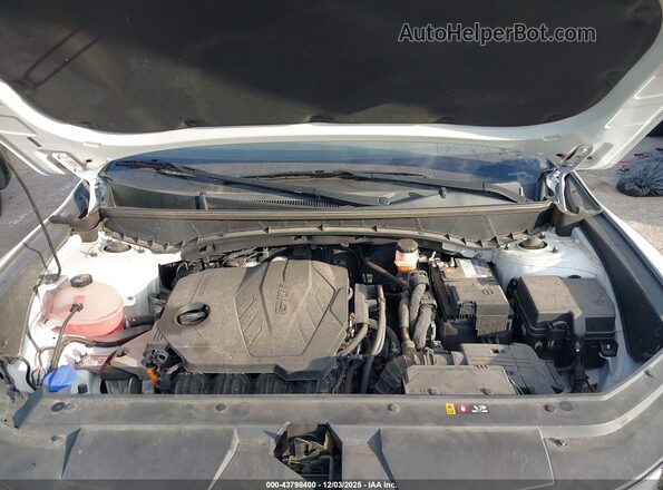5NTJCDAE7NH023347 2022 HYUNDAI SANTA CRUZ White უკანა ხედი