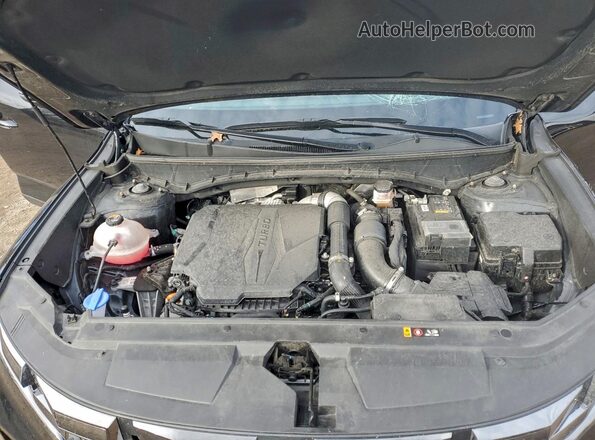 5NTJCDAF2RH094597 2024 HYUNDAI SANTA Black Widok wnętrza z tyłu