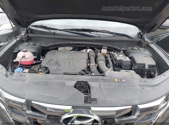 5NTJCDAF7RH089167 2024 HYUNDAI SANTA CRUZ Black 