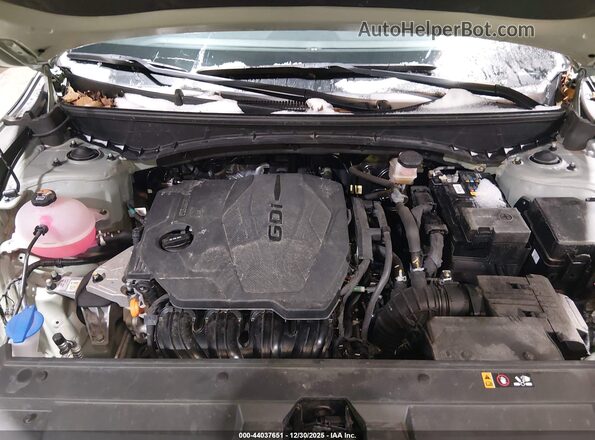5NTJCDDE2RH113524 2024 HYUNDAI SANTA CRUZ Green უკანა ხედი