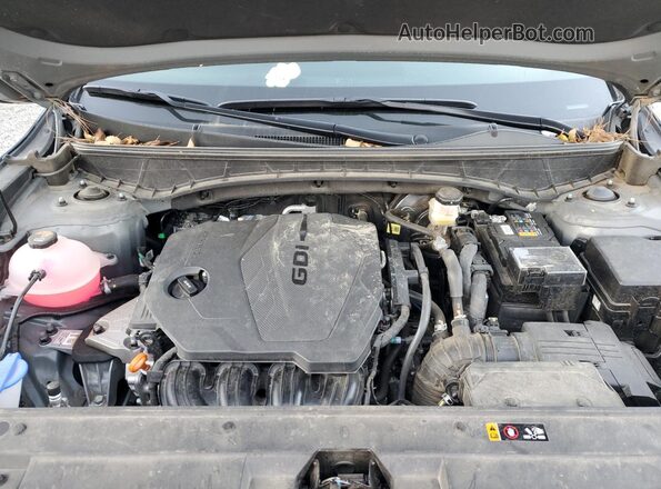 5NTJCDDEXSH148608 2025 HYUNDAI SANTA Gray Widok wnętrza z tyłu