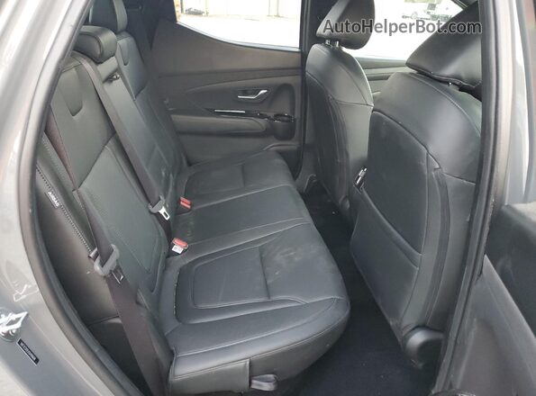 5NTJCDDEXSH148608 2025 HYUNDAI SANTA Gray Widok tylnych siedzeń