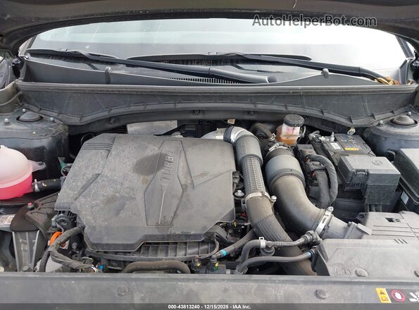 5NTJCDDF4RH103618 2024 HYUNDAI SANTA CRUZ Черный 