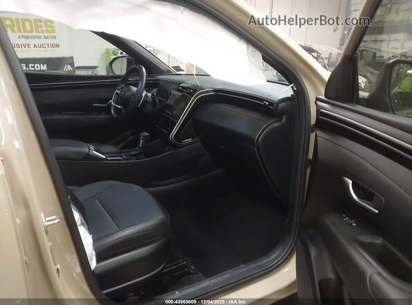 5NTJDDAF9RH082220 2024 HYUNDAI SANTA CRUZ Tan 