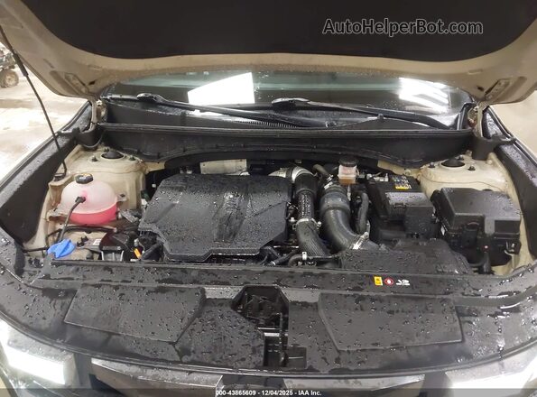 5NTJDDAF9RH082220 2024 HYUNDAI SANTA CRUZ Tan 