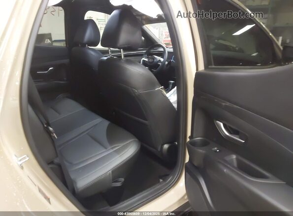 5NTJDDAF9RH082220 2024 HYUNDAI SANTA CRUZ Tan 