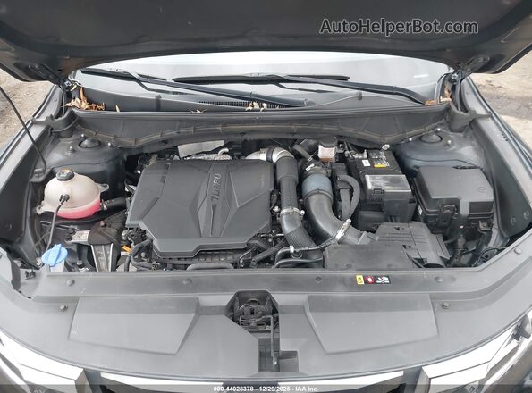 5NTJEDAF9PH059725 2023 HYUNDAI SANTA CRUZ Black Вид ззаду