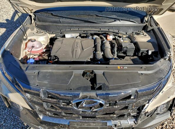 5NTJEDAF9RH080318 2024 HYUNDAI SANTA Tan Rear interior view