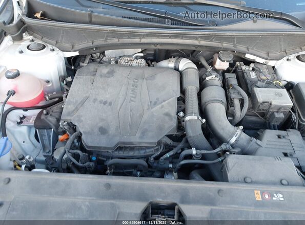 5NTJEDAFXNH013379 2022 HYUNDAI SANTA CRUZ White Հետևի տեսք