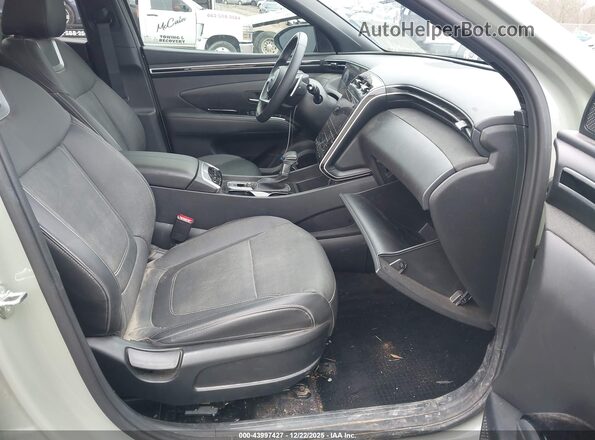 5NTJEDDF6RH117613 2024 HYUNDAI SANTA CRUZ Зеленый 