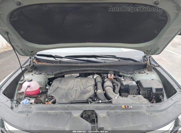 5NTJEDDF6RH117613 2024 HYUNDAI SANTA CRUZ Зеленый 