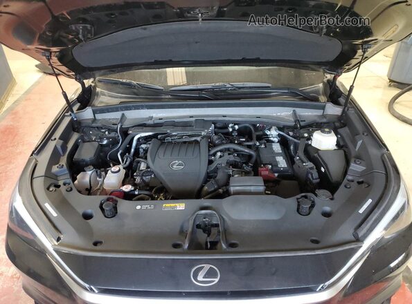 5TDAAAB64RS007925 2024 LEXUS TX Black Widok komory silnika