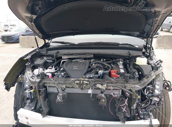 5TDAAAB66TS050704 2026 LEXUS TX Black Vista trasera
