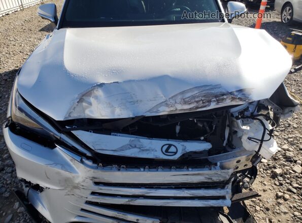5TDAAAB67SS034154 2025 LEXUS TX White Vista del compartimento del motor