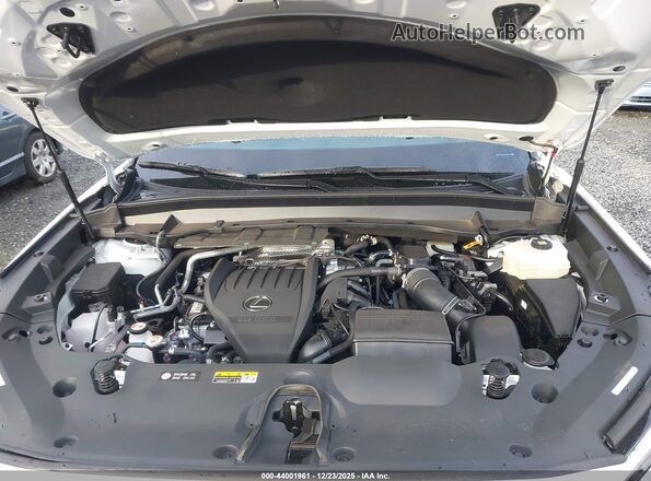 5TDABAB67SS012622 2025 LEXUS TX 500H White Вид ззаду