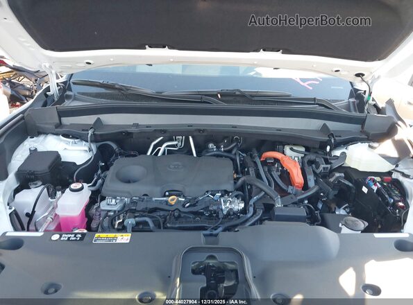 5TDACAB52TS071003 2026 TOYOTA LIMITED Белый Вид сзади