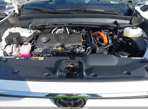 5TDACAB57TS074186 2026 TOYOTA LE White Widok z tyłu