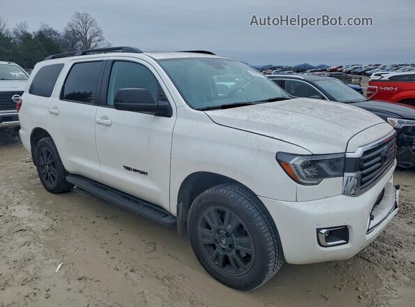 5TDBY5G18LS181167 2020 TOYOTA SEQUOIA White 