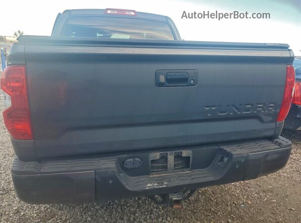 5TFDW5F13KX829281 2019 TOYOTA TUNDRA Charcoal Հետևի տեսք