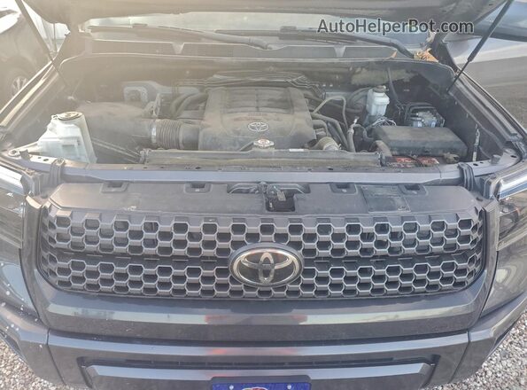 5TFDW5F13KX829281 2019 TOYOTA TUNDRA Charcoal Սալոնի հետևի տեսք