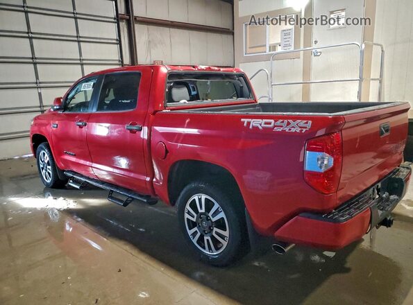 5TFDY5F10LX892897 2020 TOYOTA TUNDRA Maroon Tył lewy