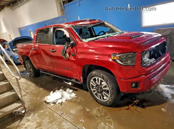 5TFDY5F10LX892897 2020 TOYOTA TUNDRA Maroon Przód prawy