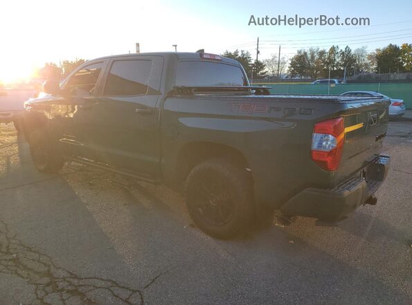5TFDY5F17LX887213 2020 TOYOTA TUNDRA Green Tył lewy