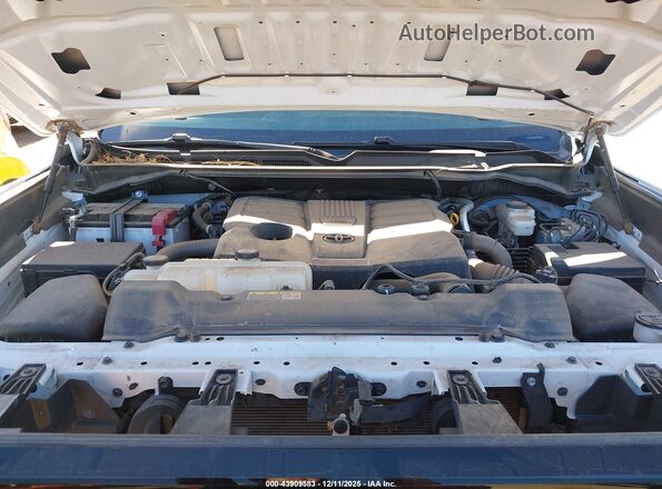 5TFKB5AB8PX021728 2023 TOYOTA TUNDRA White უკანა ხედი