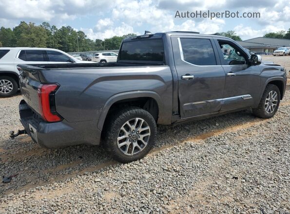 5TFMA5AB5RX031096 2024 TOYOTA TUNDRA Серый Задняя правая четверть