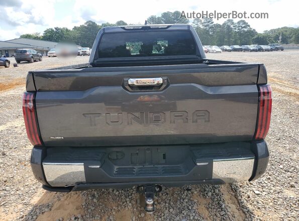 5TFMA5AB5RX031096 2024 TOYOTA TUNDRA Серый Вид сзади