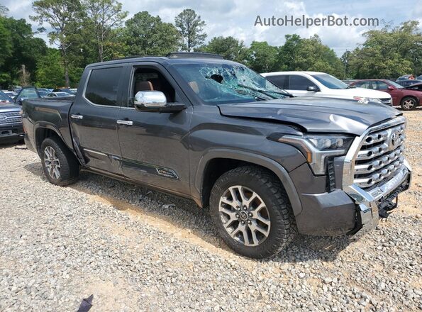 5TFMA5AB5RX031096 2024 TOYOTA TUNDRA Серый Передняя правая четверть