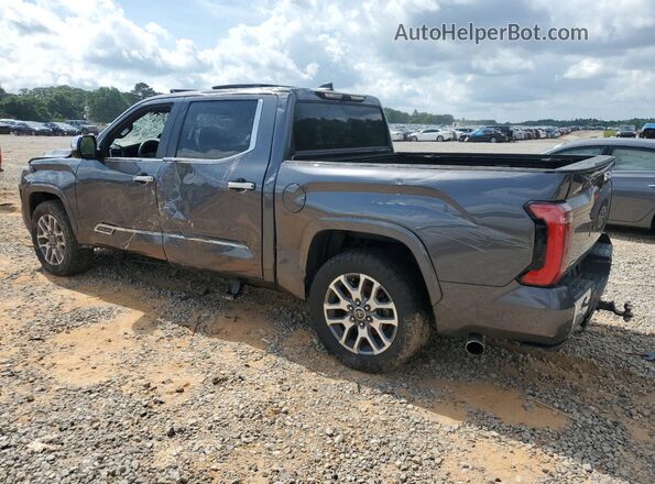 5TFMA5AB5RX031096 2024 TOYOTA TUNDRA Серый Задняя левая четверть