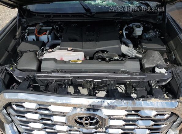 5TFMA5AB5RX031096 2024 TOYOTA TUNDRA Серый Вид задней части салона
