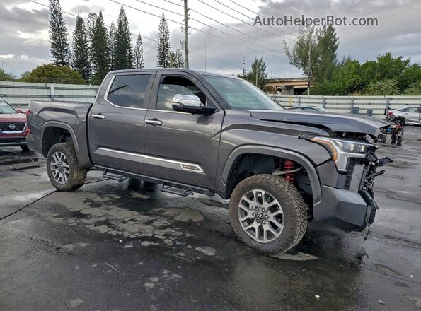 5TFMA5DB5SX247306 2025 TOYOTA TUNDRA Gray Передня права чверть