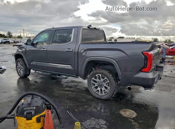 5TFMA5DB5SX247306 2025 TOYOTA TUNDRA Gray Задня ліва чверть