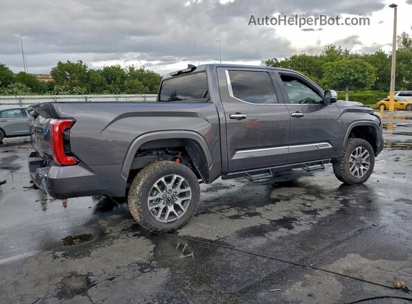 5TFMA5DB5SX247306 2025 TOYOTA TUNDRA Gray Задня права чверть