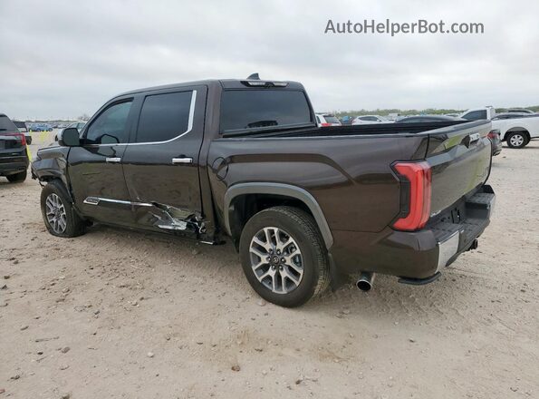 5TFMA5DB7SX305948 2025 TOYOTA TUNDRA Brown 