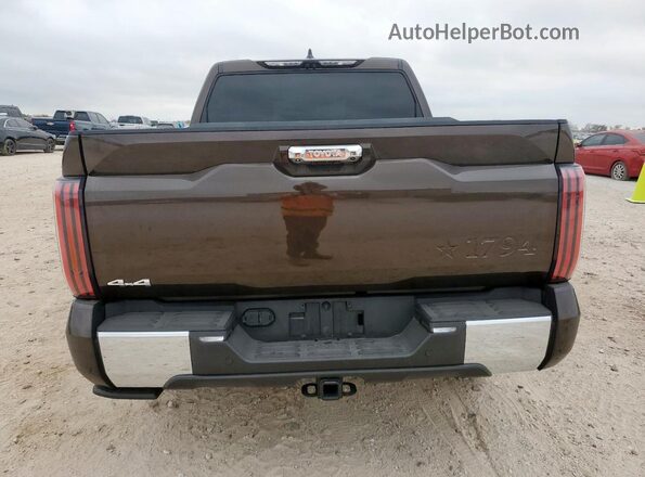 5TFMA5DB7SX305948 2025 TOYOTA TUNDRA Brown 