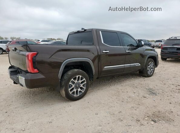 5TFMA5DB7SX305948 2025 TOYOTA TUNDRA Brown 