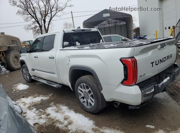 5TFMA5EC3RX032332 2024 TOYOTA TUNDRA Белый Задняя левая четверть