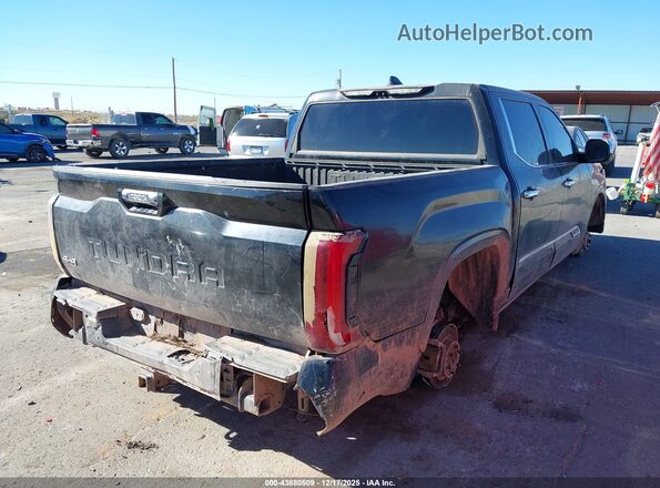 5TFMC5DBXPX035423 2023 TOYOTA TUNDRA HYBRID Черный Задняя правая четверть