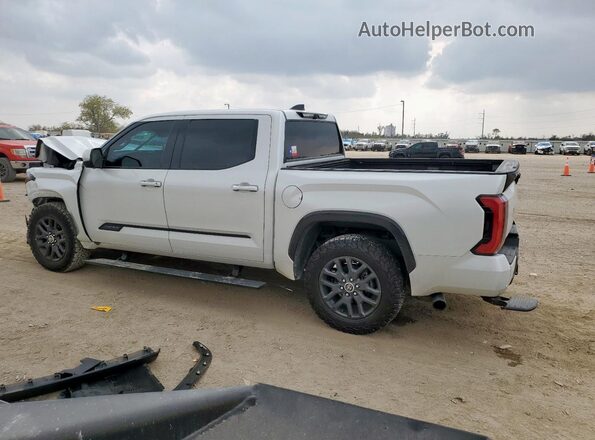 5TFNA5AB2PX027007 2023 TOYOTA TUNDRA Белый Задняя левая четверть