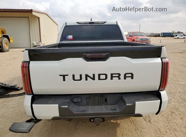 5TFNA5AB2PX027007 2023 TOYOTA TUNDRA Белый Вид сзади