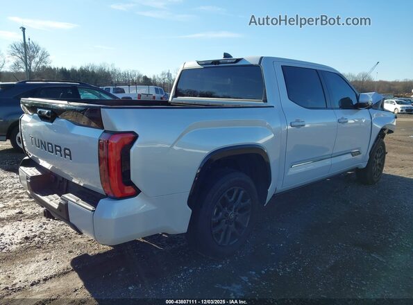 5TFNA5DB6SX254236 2025 TOYOTA TUNDRA Белый 