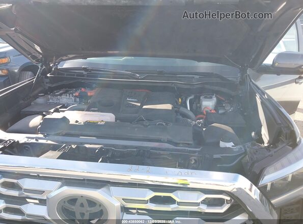 5TFNC5DB5RX067977 2024 TOYOTA TUNDRA HYBRID Gray Widok z tyłu
